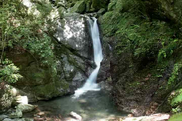 ���݂���(���ʂ��) 